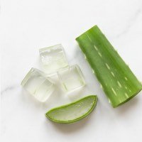 Isi gel aloe vera